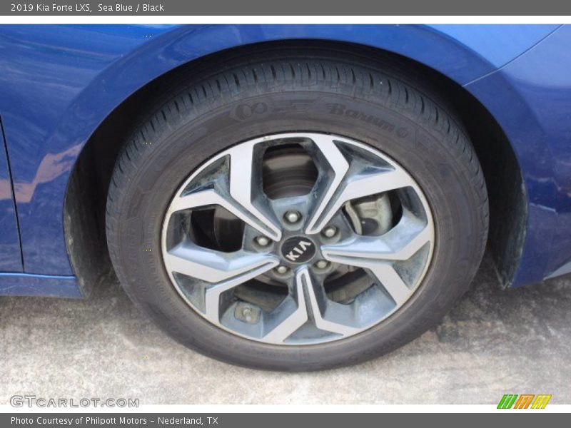 Sea Blue / Black 2019 Kia Forte LXS