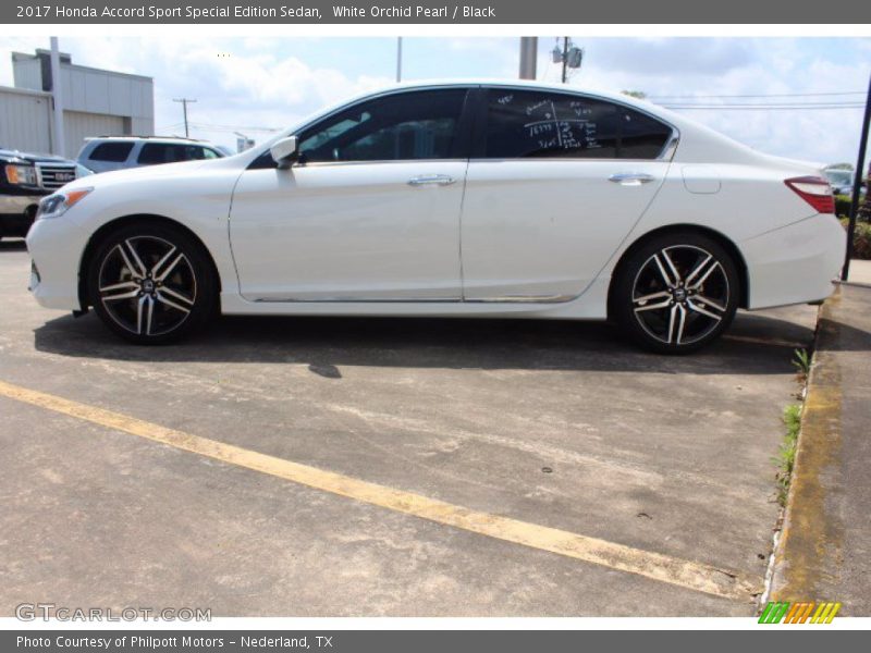 White Orchid Pearl / Black 2017 Honda Accord Sport Special Edition Sedan
