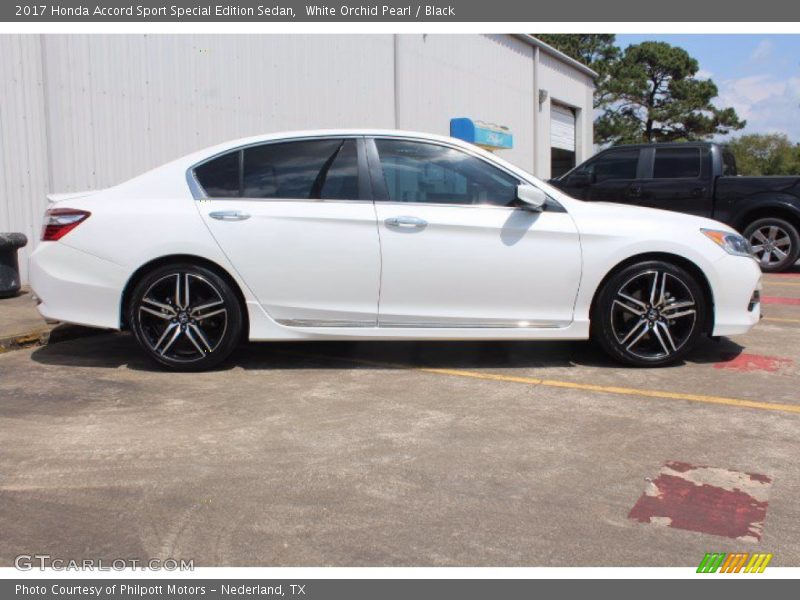 White Orchid Pearl / Black 2017 Honda Accord Sport Special Edition Sedan