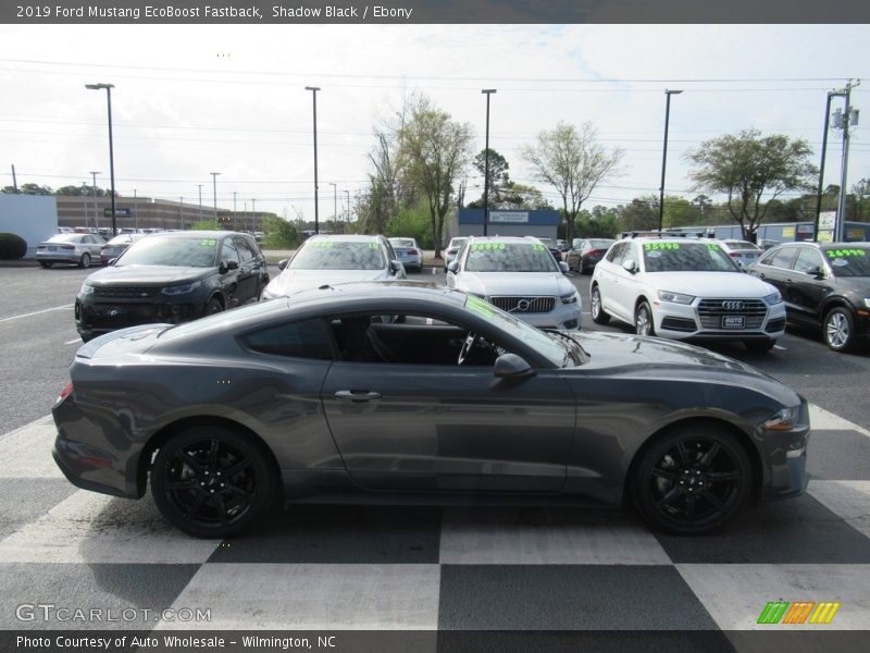 Shadow Black / Ebony 2019 Ford Mustang EcoBoost Fastback