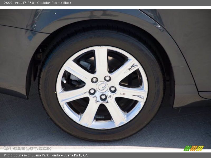 Obsidian Black / Black 2009 Lexus ES 350