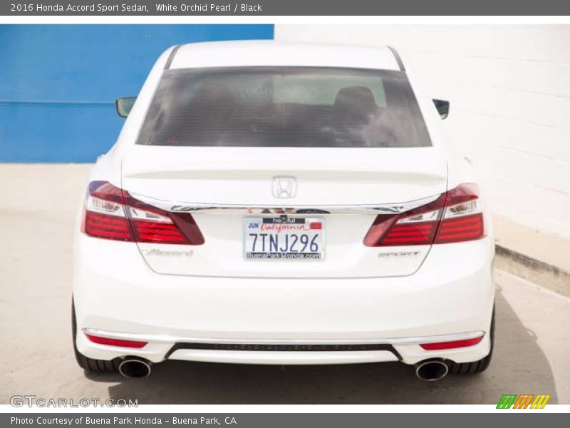 White Orchid Pearl / Black 2016 Honda Accord Sport Sedan