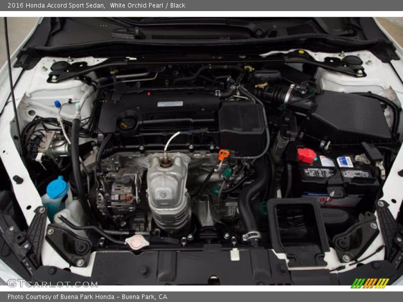 White Orchid Pearl / Black 2016 Honda Accord Sport Sedan