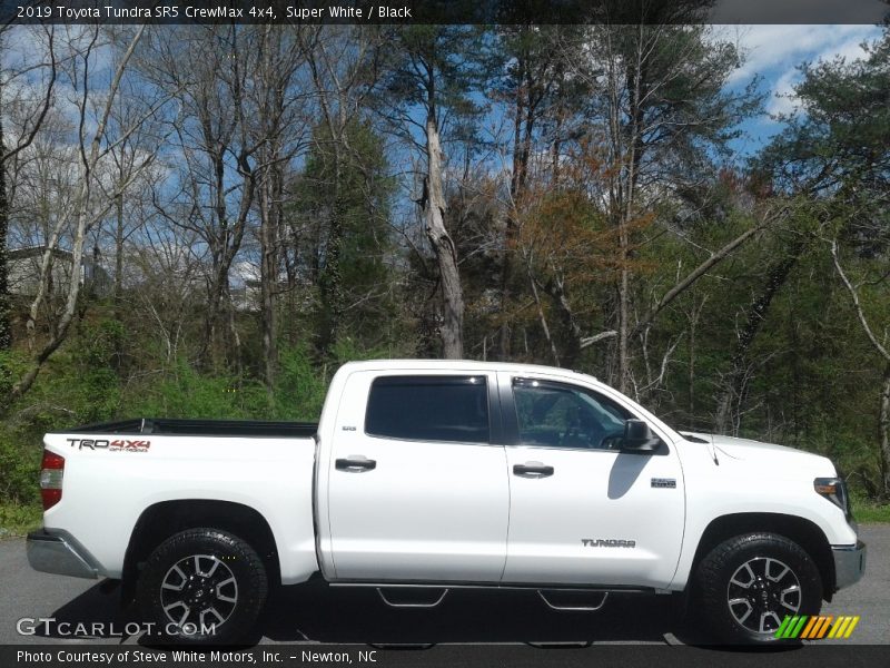 Super White / Black 2019 Toyota Tundra SR5 CrewMax 4x4