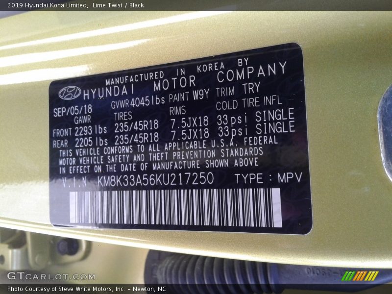 2019 Kona Limited Lime Twist Color Code W9Y