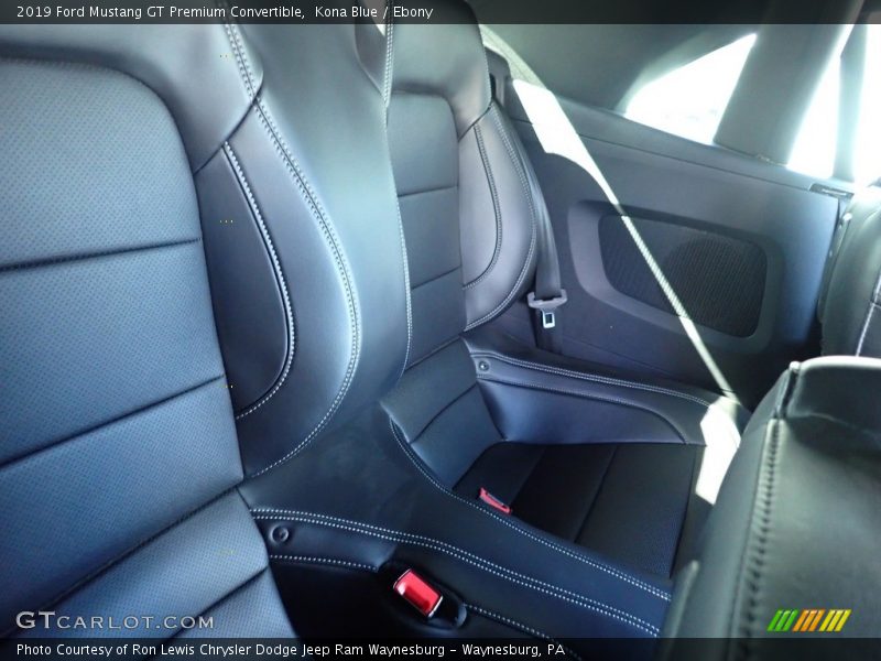 Kona Blue / Ebony 2019 Ford Mustang GT Premium Convertible