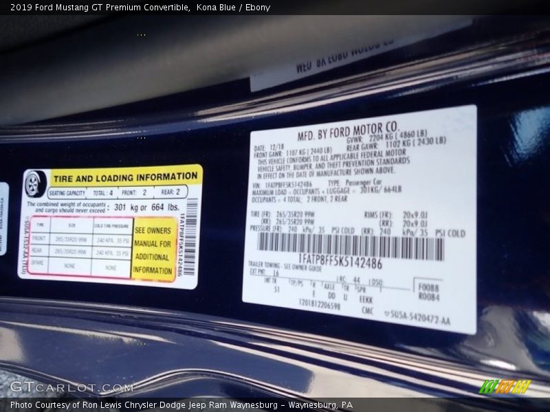 Kona Blue / Ebony 2019 Ford Mustang GT Premium Convertible