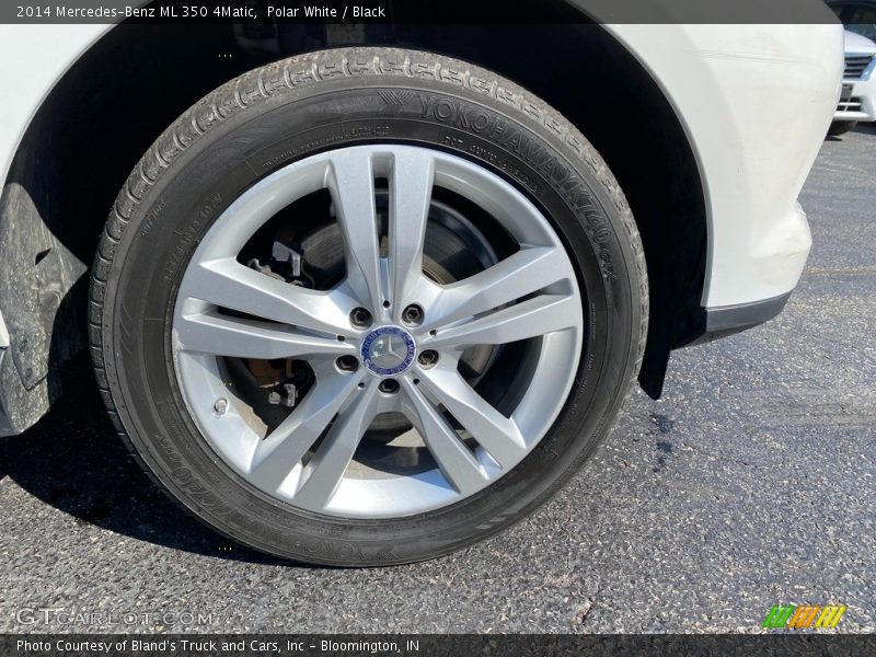 Polar White / Black 2014 Mercedes-Benz ML 350 4Matic