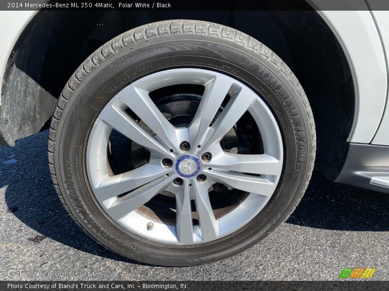Polar White / Black 2014 Mercedes-Benz ML 350 4Matic