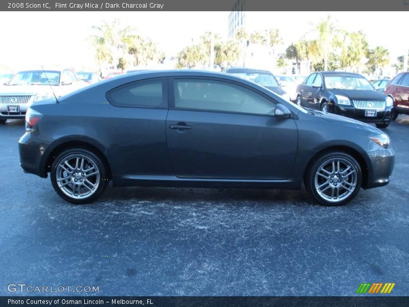 Flint Gray Mica / Dark Charcoal Gray 2008 Scion tC