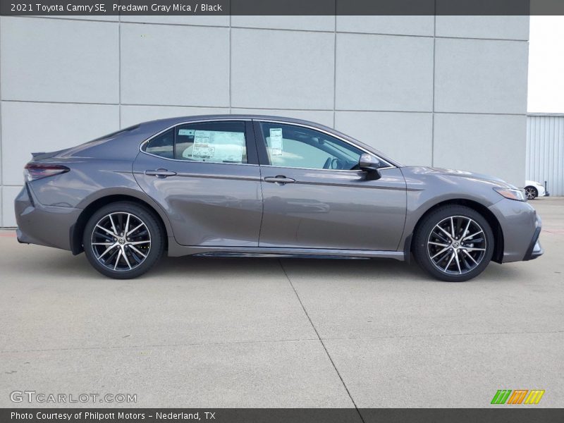 Predawn Gray Mica / Black 2021 Toyota Camry SE