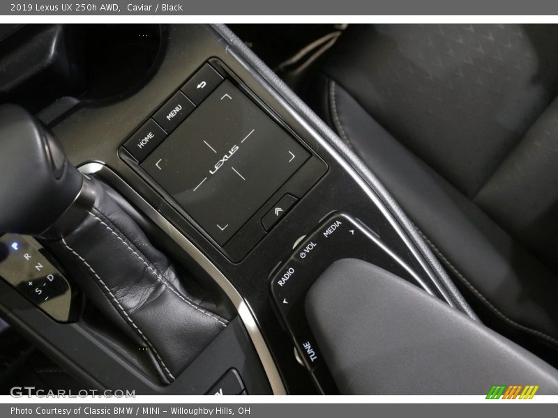 Caviar / Black 2019 Lexus UX 250h AWD