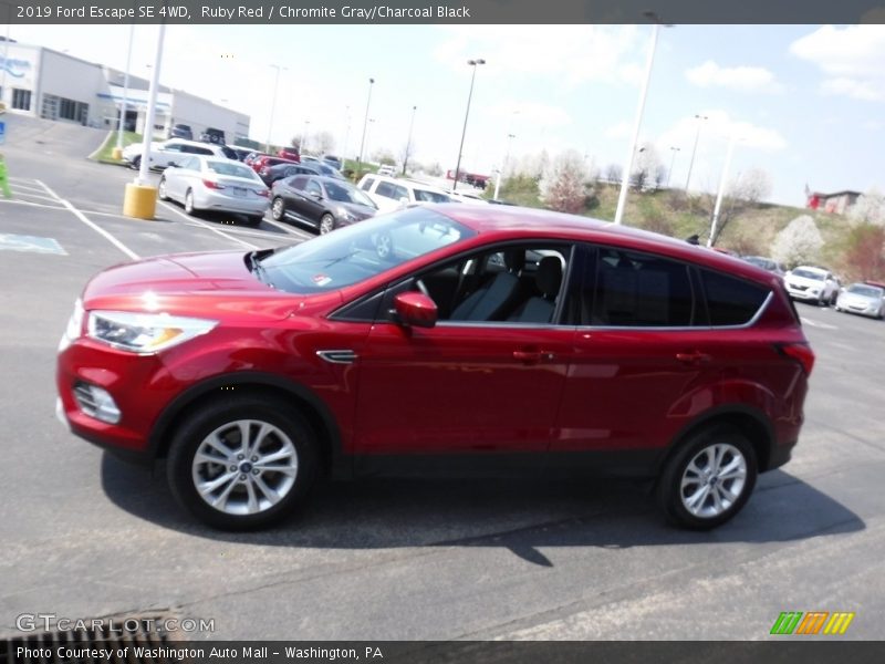 Ruby Red / Chromite Gray/Charcoal Black 2019 Ford Escape SE 4WD
