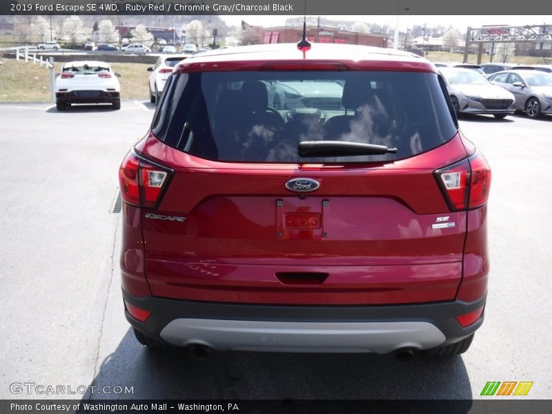 Ruby Red / Chromite Gray/Charcoal Black 2019 Ford Escape SE 4WD