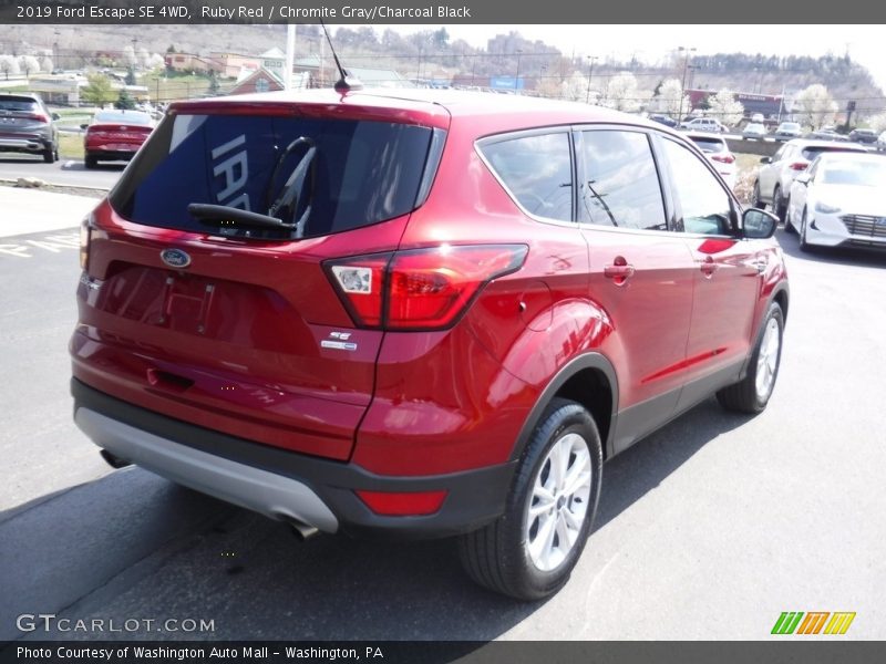 Ruby Red / Chromite Gray/Charcoal Black 2019 Ford Escape SE 4WD