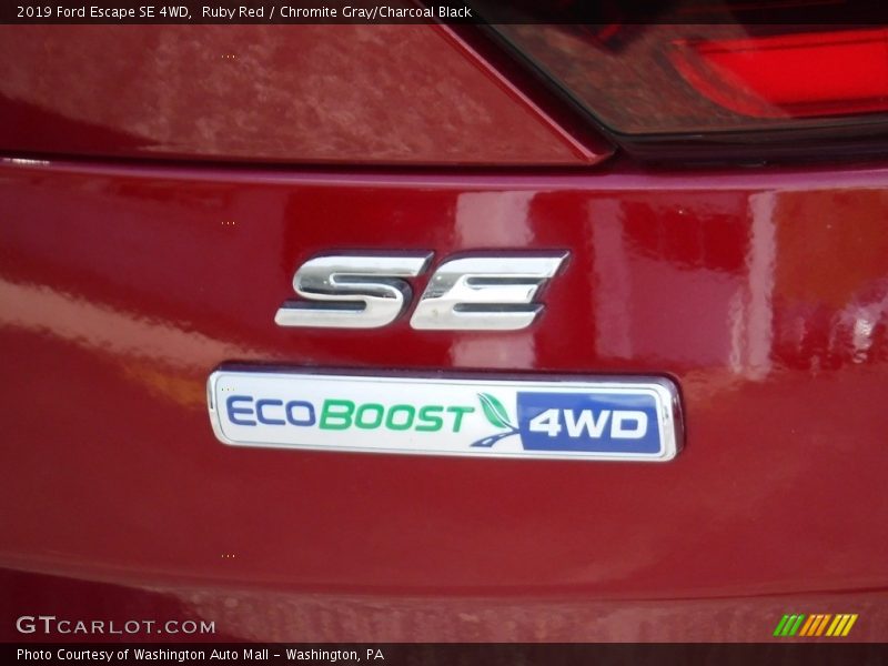 Ruby Red / Chromite Gray/Charcoal Black 2019 Ford Escape SE 4WD