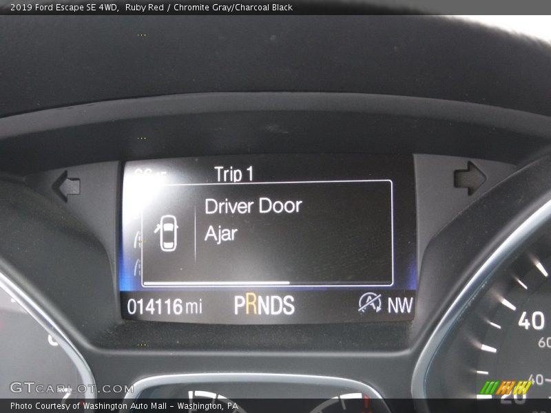 Ruby Red / Chromite Gray/Charcoal Black 2019 Ford Escape SE 4WD