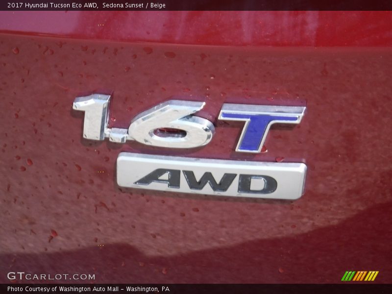 Sedona Sunset / Beige 2017 Hyundai Tucson Eco AWD
