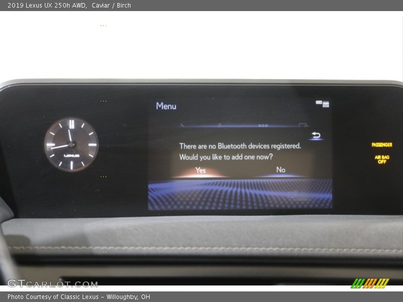 Caviar / Birch 2019 Lexus UX 250h AWD