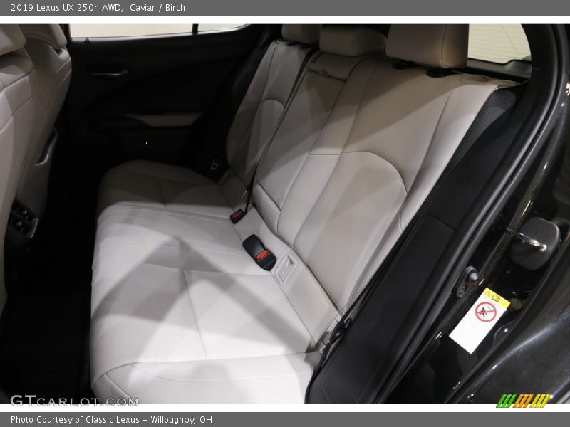Caviar / Birch 2019 Lexus UX 250h AWD