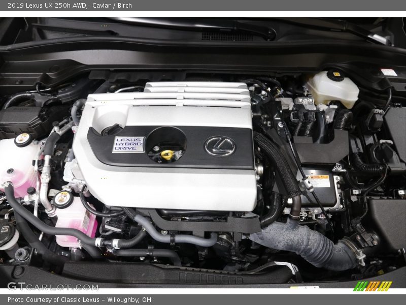 Caviar / Birch 2019 Lexus UX 250h AWD