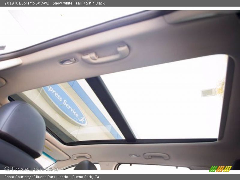 Snow White Pearl / Satin Black 2019 Kia Sorento SX AWD