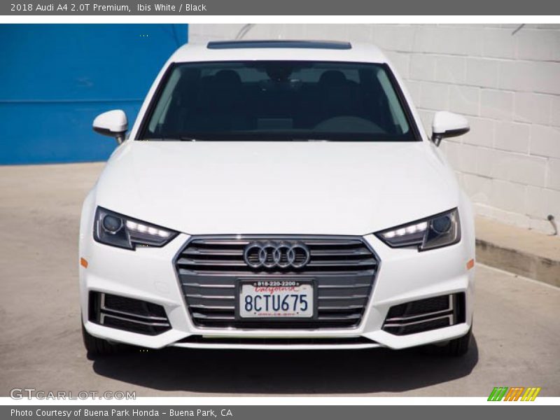 Ibis White / Black 2018 Audi A4 2.0T Premium