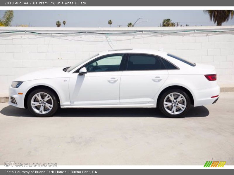Ibis White / Black 2018 Audi A4 2.0T Premium