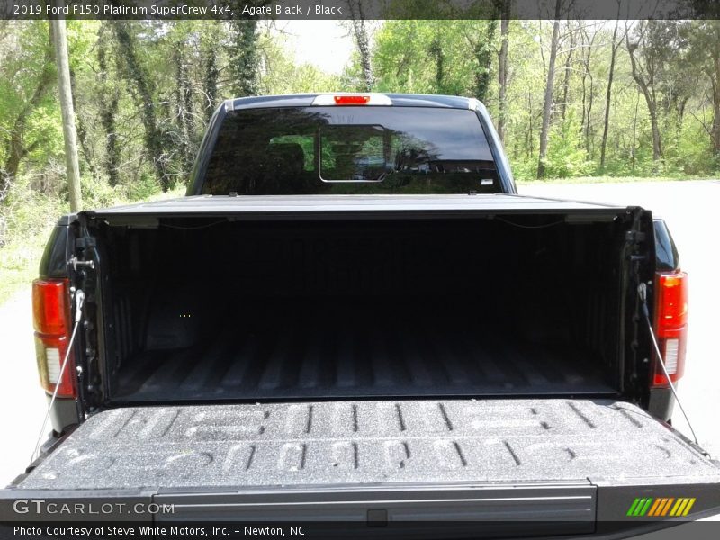 Agate Black / Black 2019 Ford F150 Platinum SuperCrew 4x4