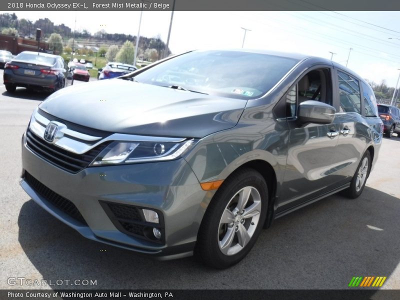 Forest Mist Metallic / Beige 2018 Honda Odyssey EX-L