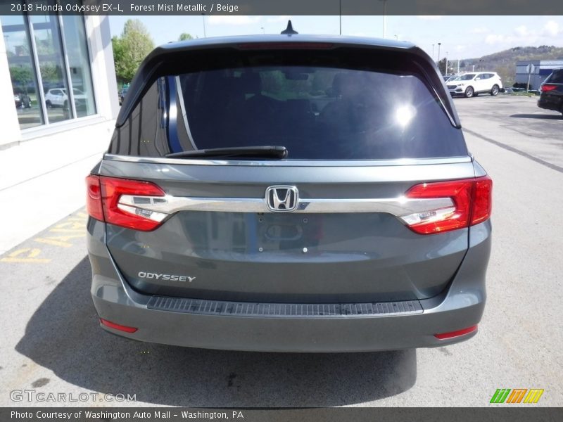 Forest Mist Metallic / Beige 2018 Honda Odyssey EX-L