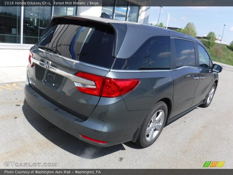 Forest Mist Metallic / Beige 2018 Honda Odyssey EX-L