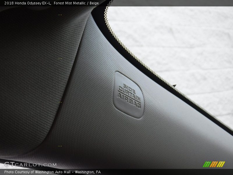 Forest Mist Metallic / Beige 2018 Honda Odyssey EX-L