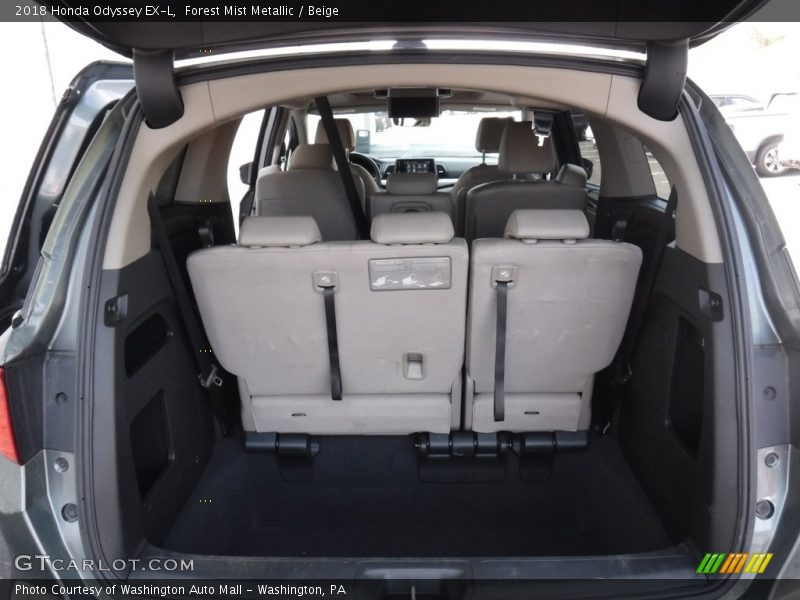 Forest Mist Metallic / Beige 2018 Honda Odyssey EX-L