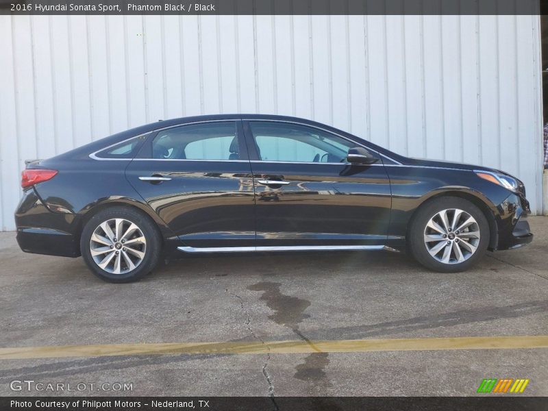 Phantom Black / Black 2016 Hyundai Sonata Sport