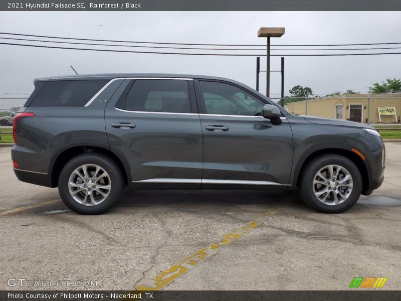 Rainforest / Black 2021 Hyundai Palisade SE