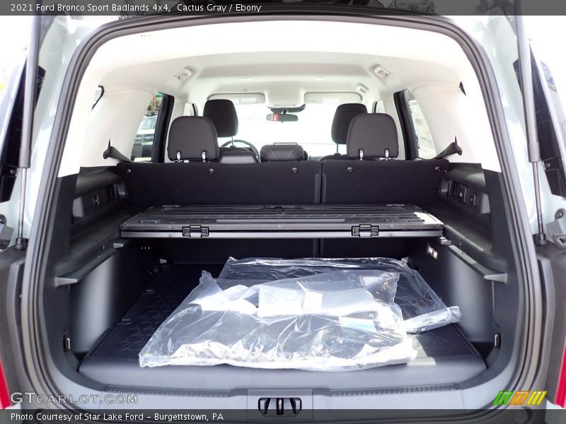 Cactus Gray / Ebony 2021 Ford Bronco Sport Badlands 4x4