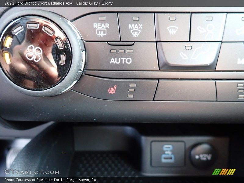 Cactus Gray / Ebony 2021 Ford Bronco Sport Badlands 4x4