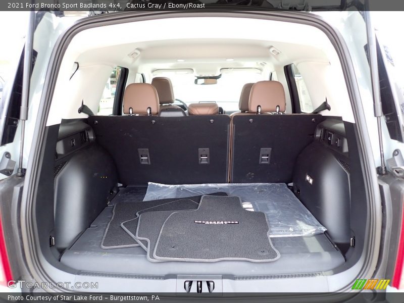 Cactus Gray / Ebony/Roast 2021 Ford Bronco Sport Badlands 4x4