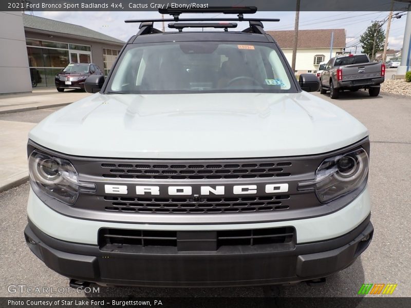 Cactus Gray / Ebony/Roast 2021 Ford Bronco Sport Badlands 4x4