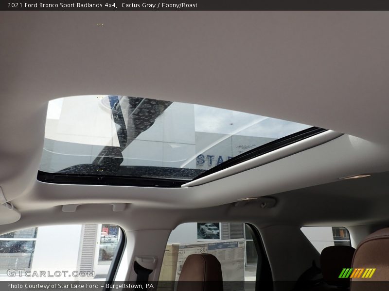 Cactus Gray / Ebony/Roast 2021 Ford Bronco Sport Badlands 4x4