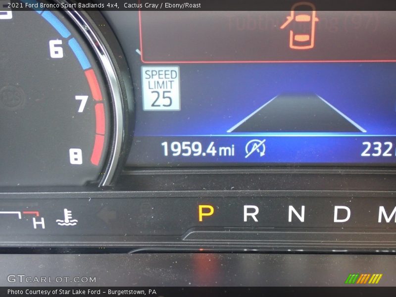 Cactus Gray / Ebony/Roast 2021 Ford Bronco Sport Badlands 4x4