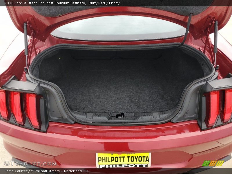 Ruby Red / Ebony 2018 Ford Mustang EcoBoost Premium Fastback