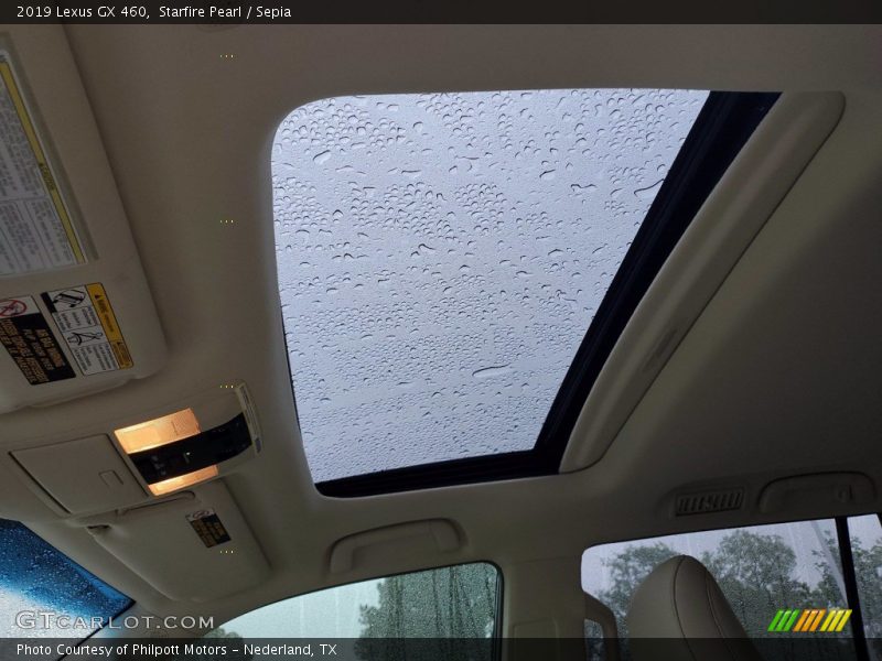 Starfire Pearl / Sepia 2019 Lexus GX 460