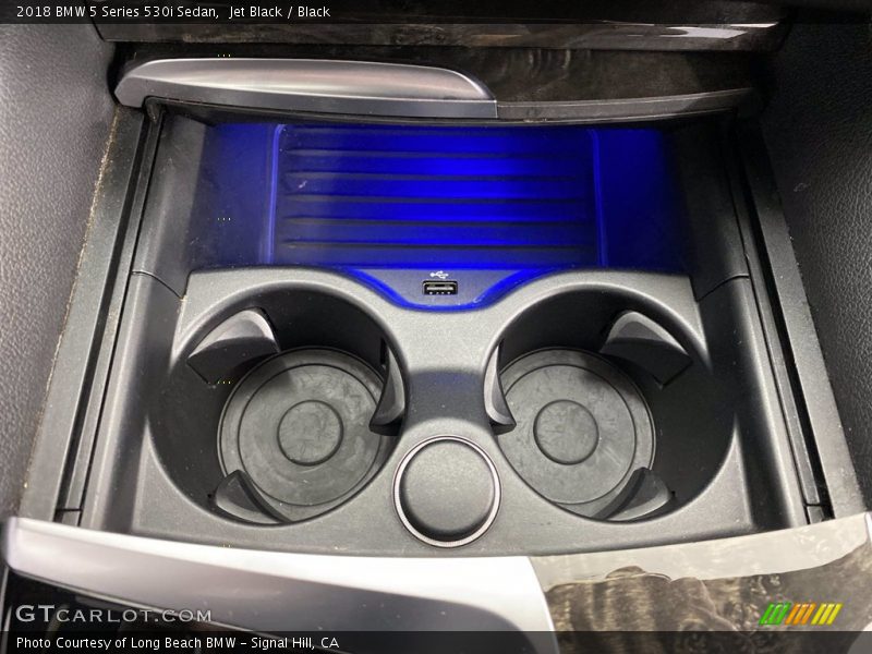 Jet Black / Black 2018 BMW 5 Series 530i Sedan