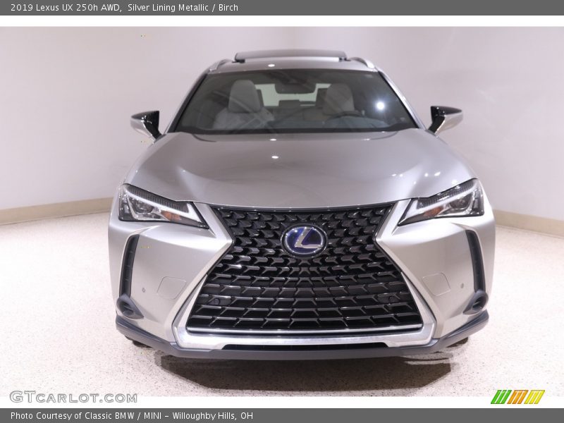 Silver Lining Metallic / Birch 2019 Lexus UX 250h AWD