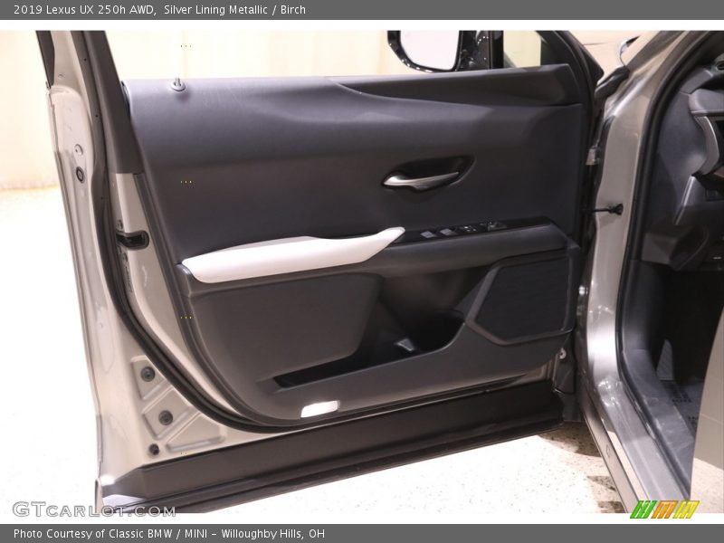 Door Panel of 2019 UX 250h AWD