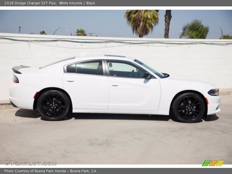 White Knuckle / Black 2018 Dodge Charger SXT Plus