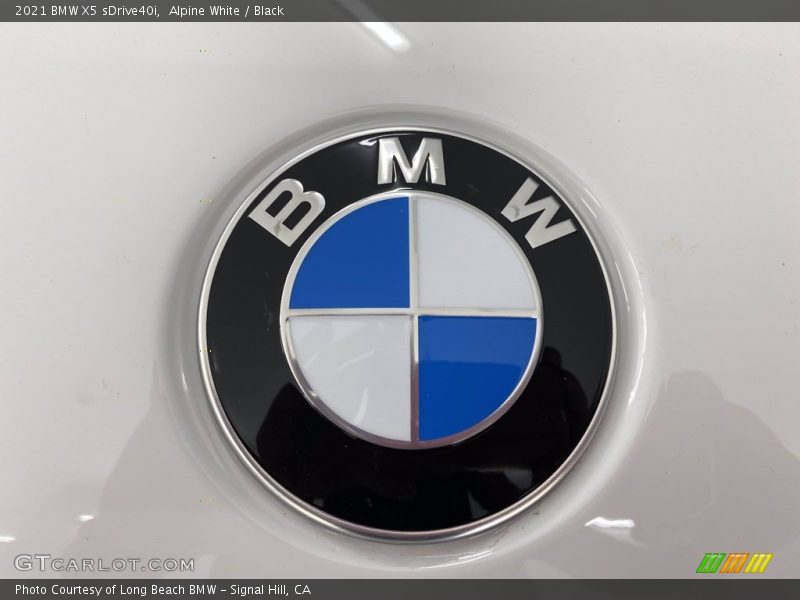 Alpine White / Black 2021 BMW X5 sDrive40i