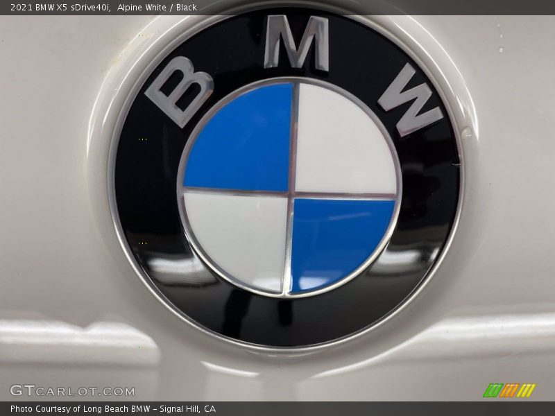 Alpine White / Black 2021 BMW X5 sDrive40i